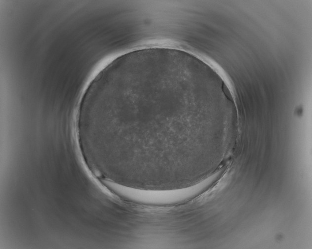 X0000116871389201001121252