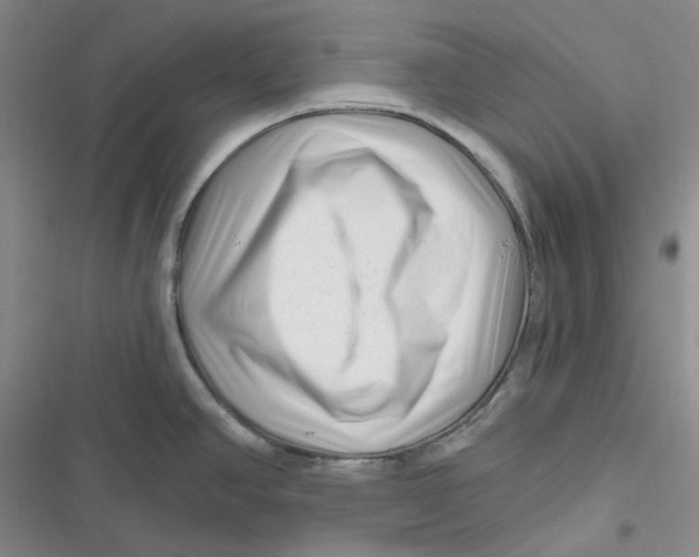 X0000116871390201001121252