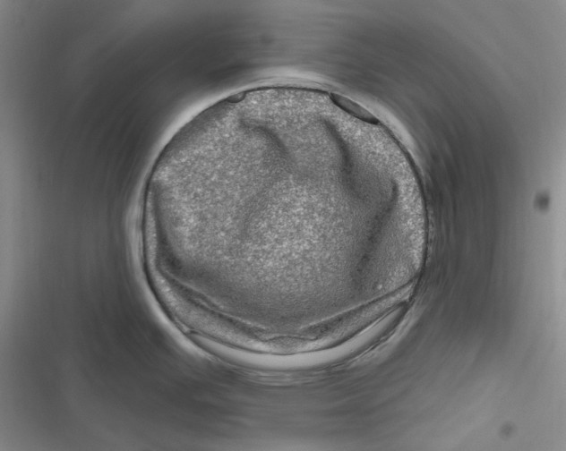 X0000116871391201001121252