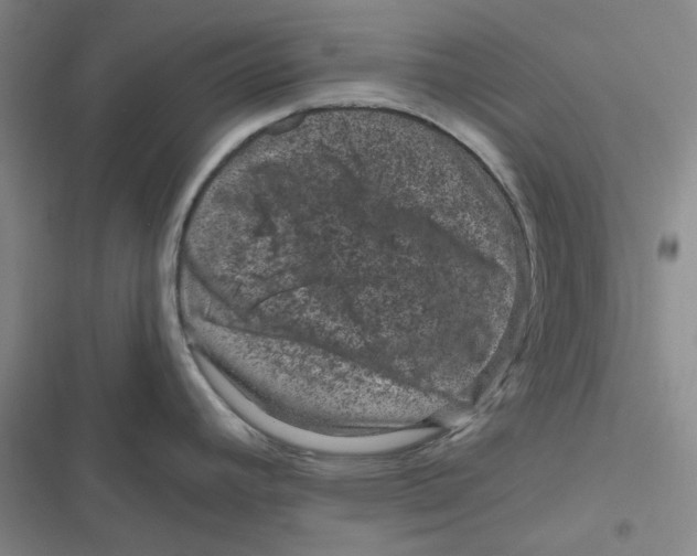 X0000116871392201001121252