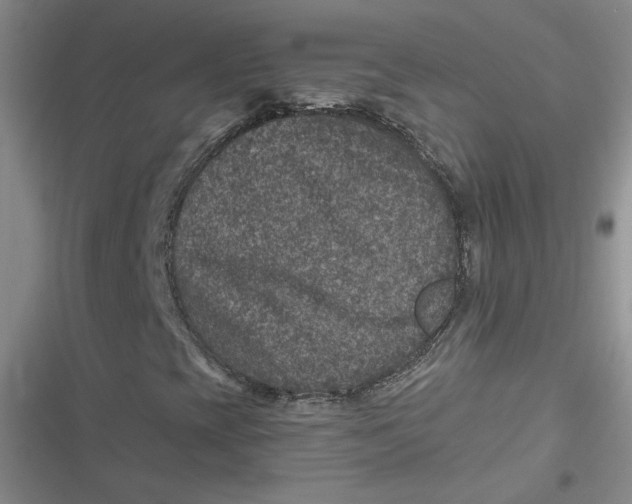 X0000116871393201001121252