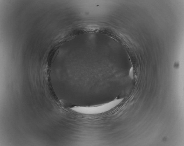 X0000116871394201001121252