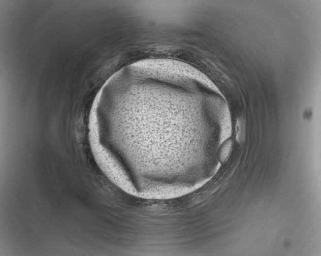 X0000116871395201001121252