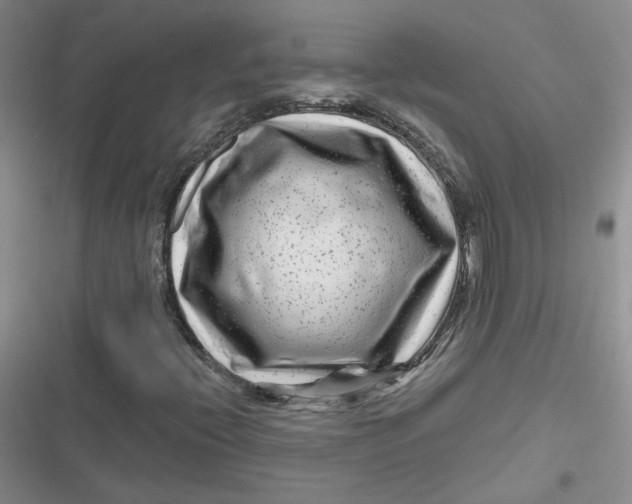 X0000116871396201001121252