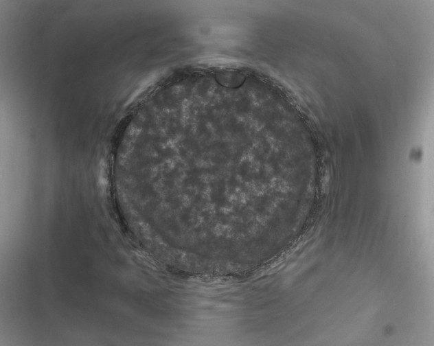 X0000116871397201001121252