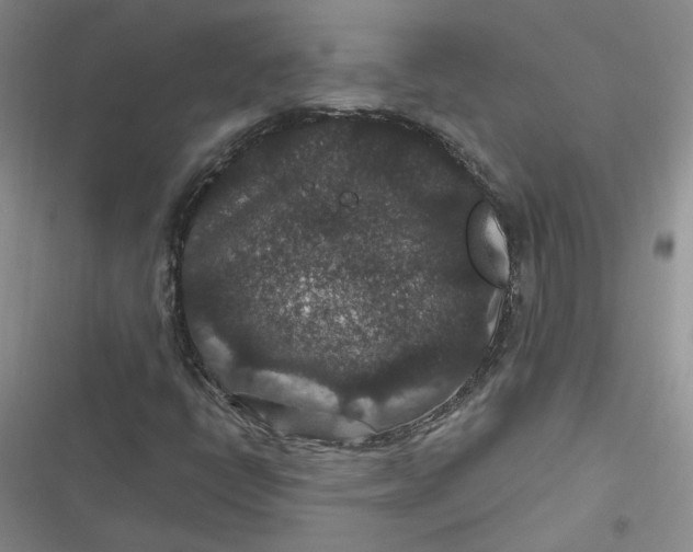 X0000116871398201001121252