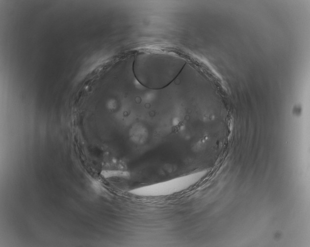 X0000116871399201001121252