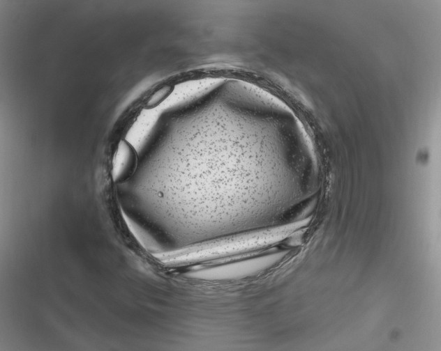 X0000116871400201001121252