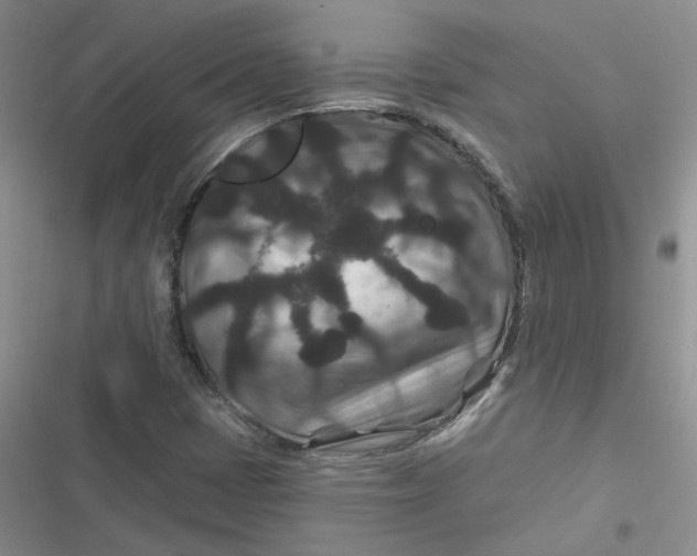 X0000116871401201001121252