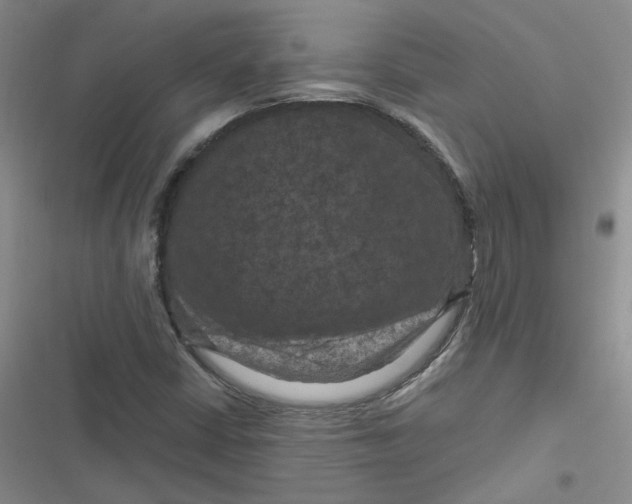 X0000116871402201001121252