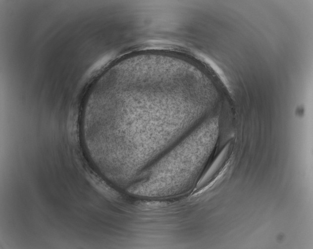 X0000116871403201001121252