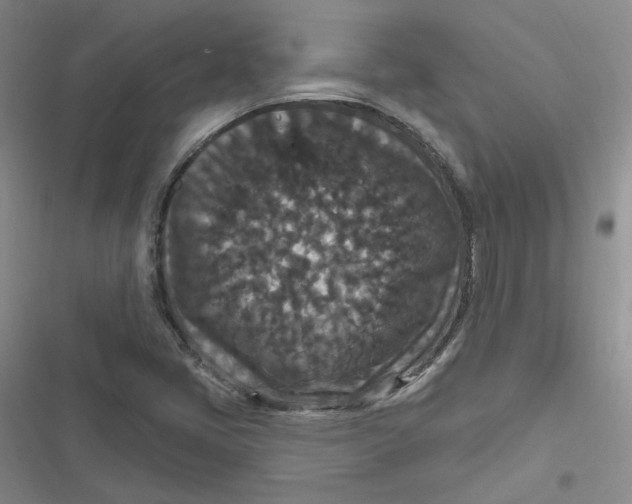 X0000116871405201001121252