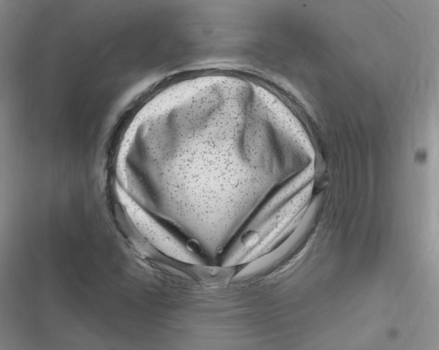 X0000116871406201001121252