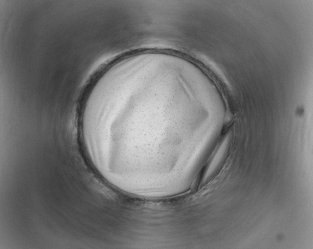 X0000116871408201001121252