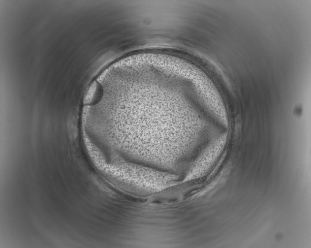 X0000116871409201001121252