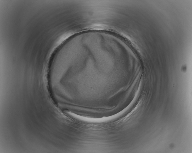 X0000116871410201001121252