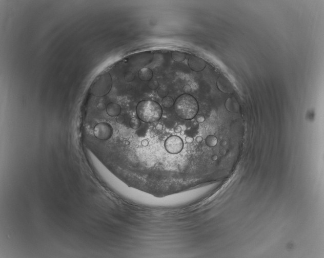 X0000116871411201001121252