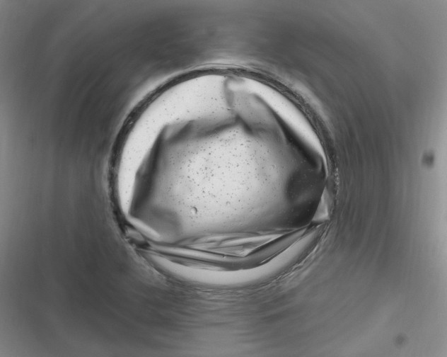 X0000116871412201001121252