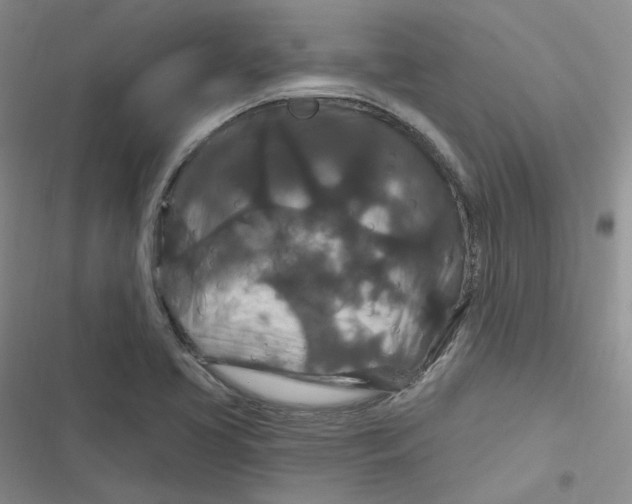 X0000116871413201001121252