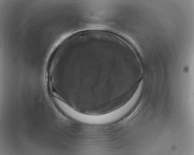 X0000116871414201001121252