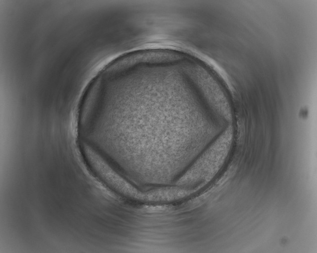 X0000116871415201001121252