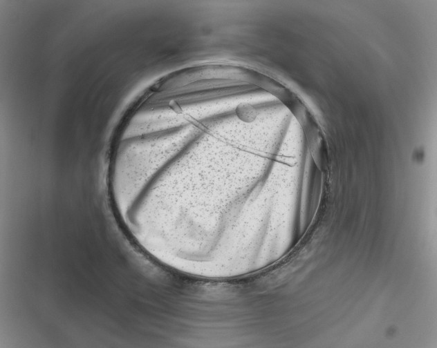 X0000116871416201001121252