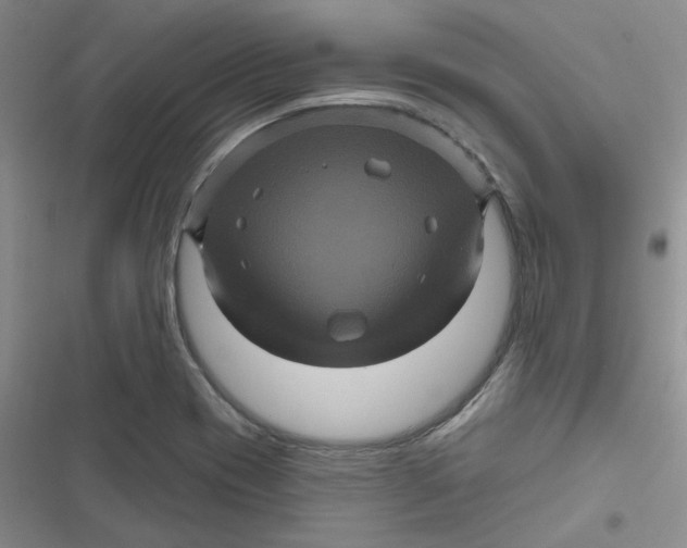 X0000116871417201001121252