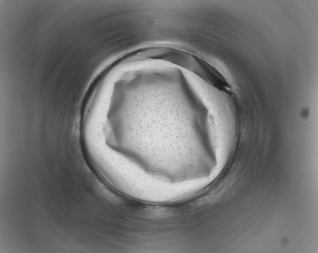 X0000116871420201001121252