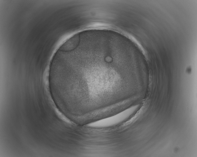 X0000116871421201001121252