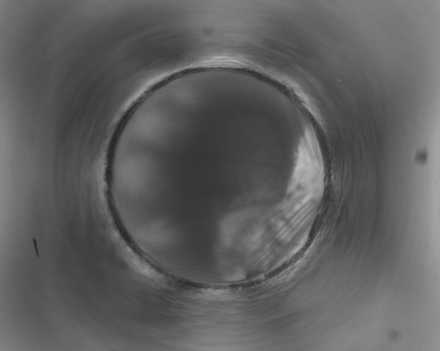 X0000116871422201001121252