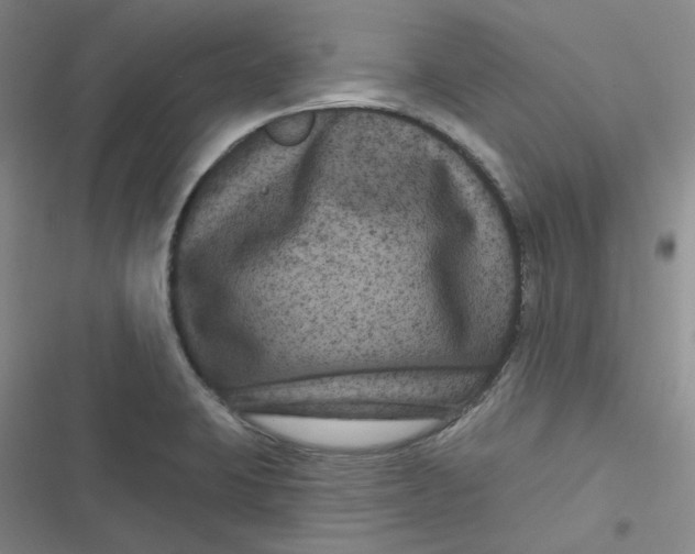 X0000116871423201001121252