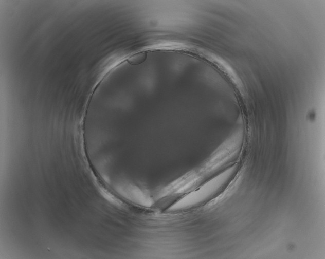 X0000116871425201001121252