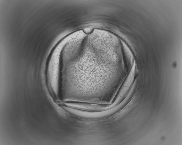 X0000116871426201001121252