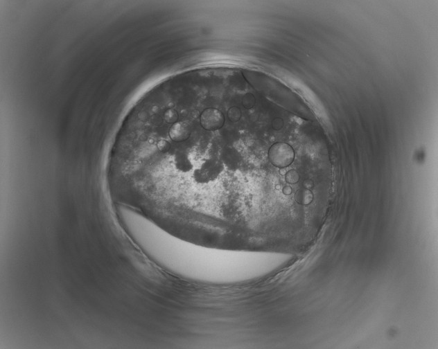 X0000116871427201001121252