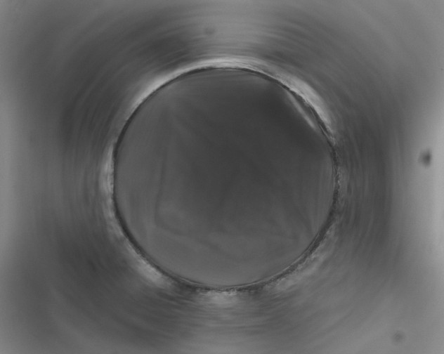 X0000116871428201001121252