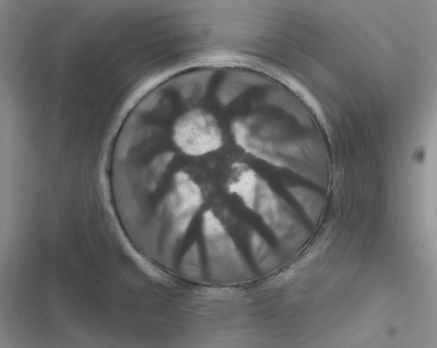 X0000116871429201001121252