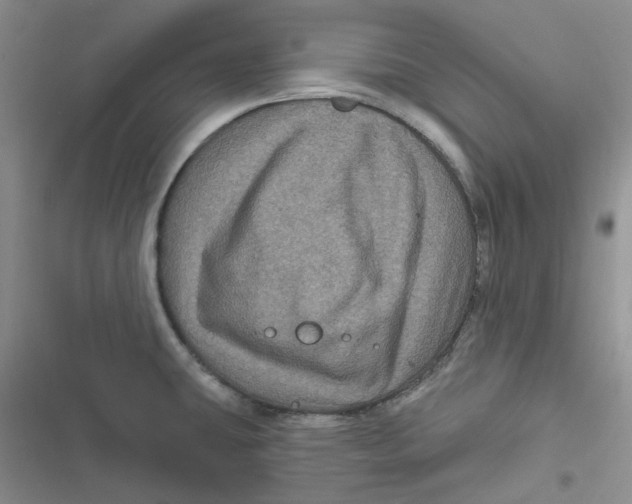 X0000116871431201001121252