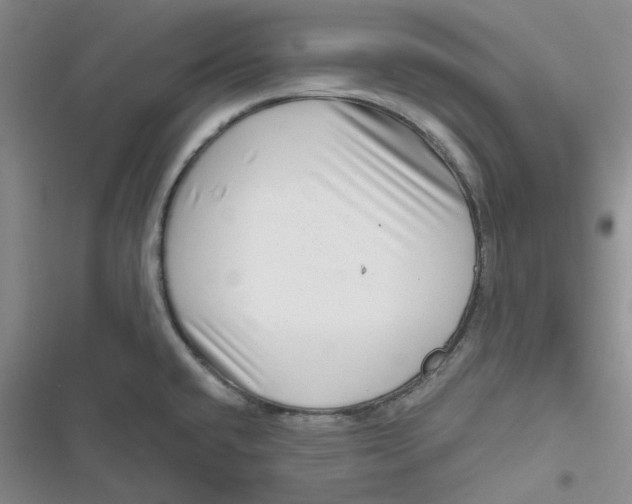 X0000116871432201001121252