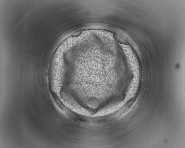 X0000116871433201001121252