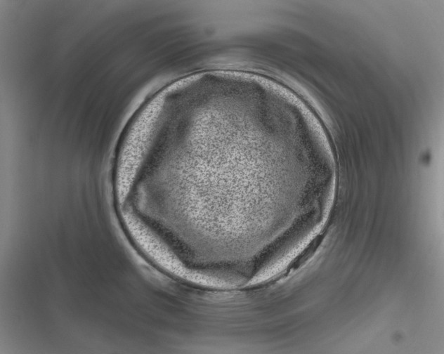 X0000116871434201001121252