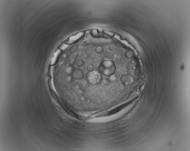 X0000116871435201001121252