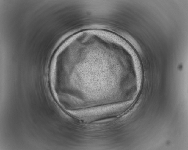 X0000116871436201001121252