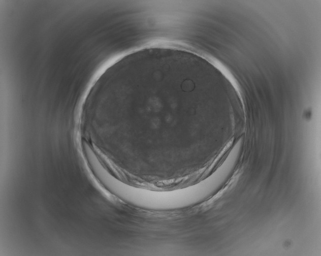 X0000116871437201001121252