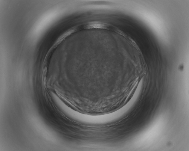 X0000116871438201001121252