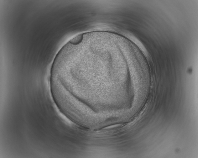 X0000116871439201001121252