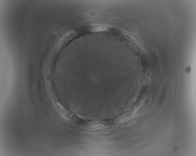 X0000116871441201001121252