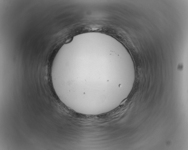 X0000116871442201001121252