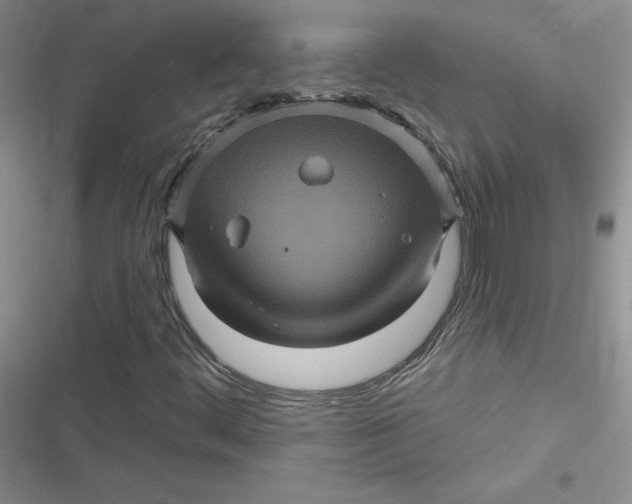 X0000116871444201001121252