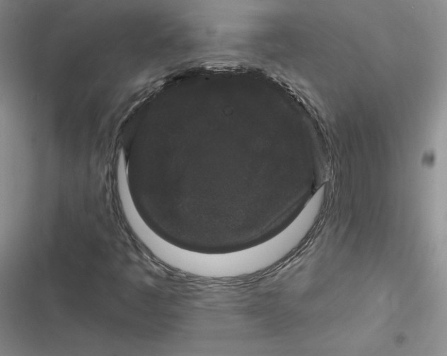 X0000116871445201001121252