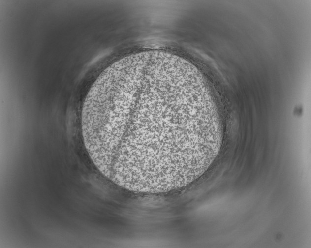 X0000116871446201001121252